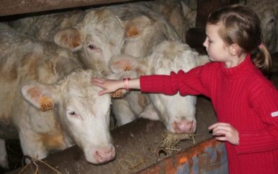 Ferme Pédagogique Duchateau